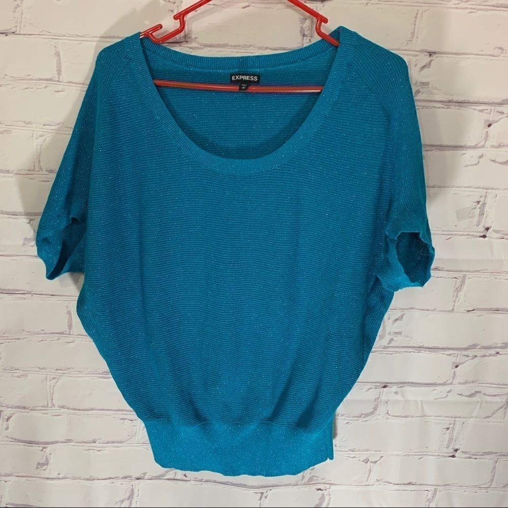 Express medium teal sweater